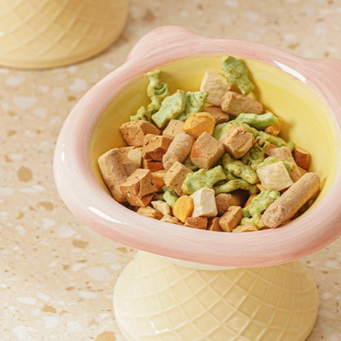 Ceramic Elevated Pet Bowl
