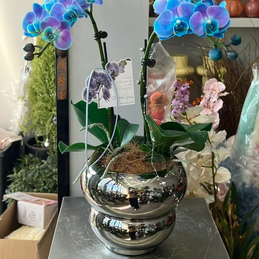Ceramic Flower Pot