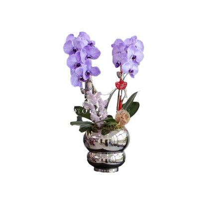 Ceramic Flower Pot