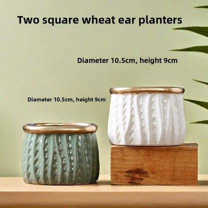 Ceramic Flower Pots for Succulents