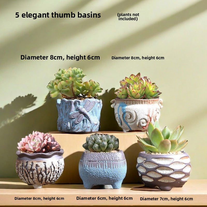 Ceramic Flower Pots for Succulents