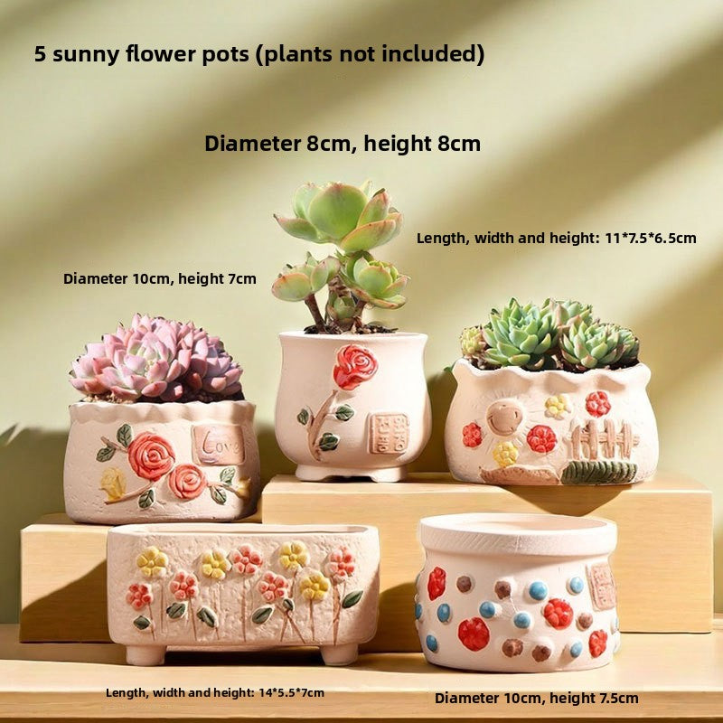 Ceramic Flower Pots for Succulents