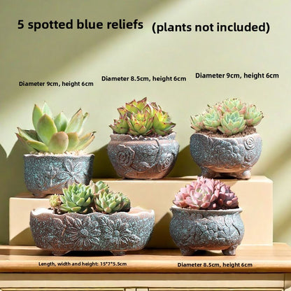 Ceramic Flower Pots for Succulents