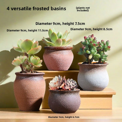 Ceramic Flower Pots for Succulents
