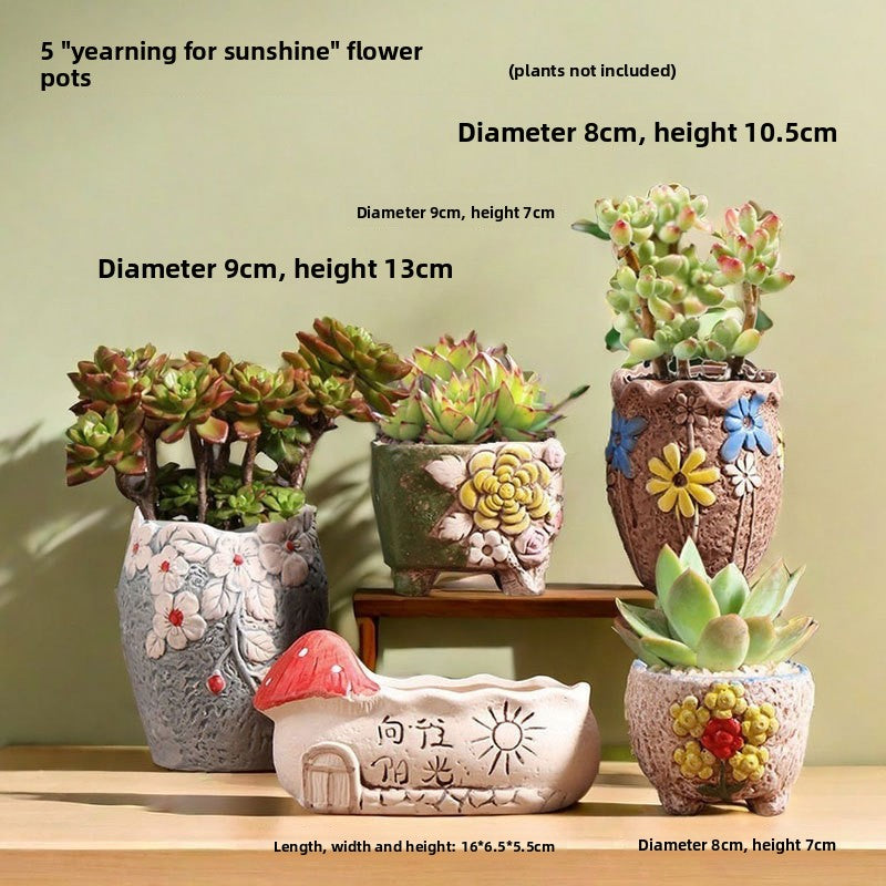 Ceramic Flower Pots for Succulents
