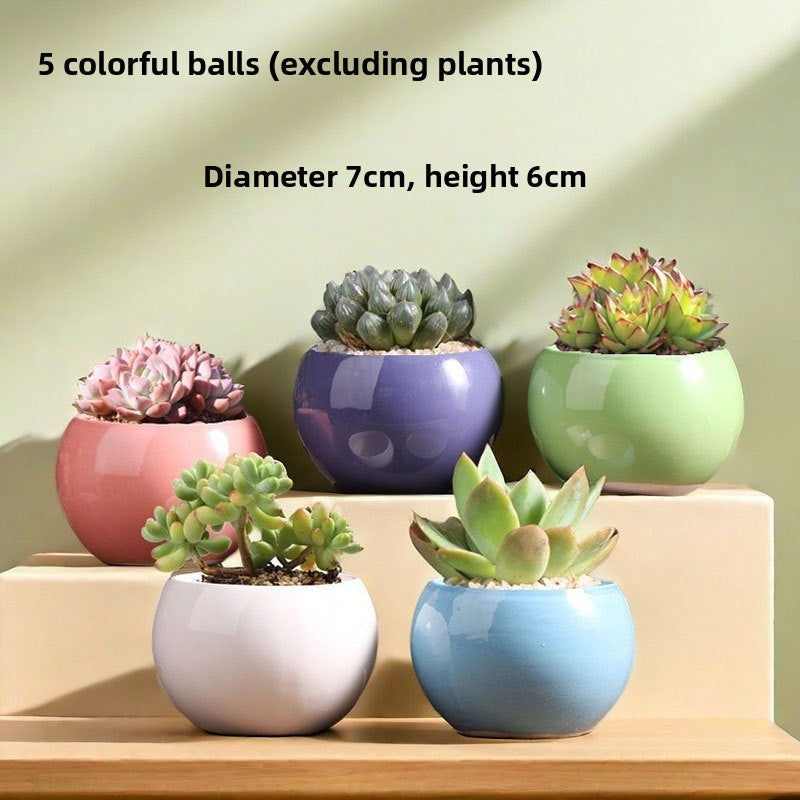 Ceramic Flower Pots for Succulents