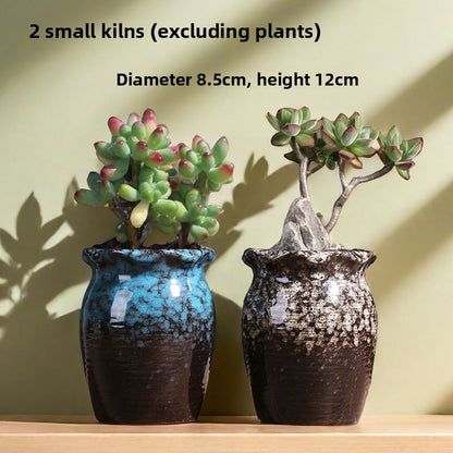 Ceramic Flower Pots for Succulents