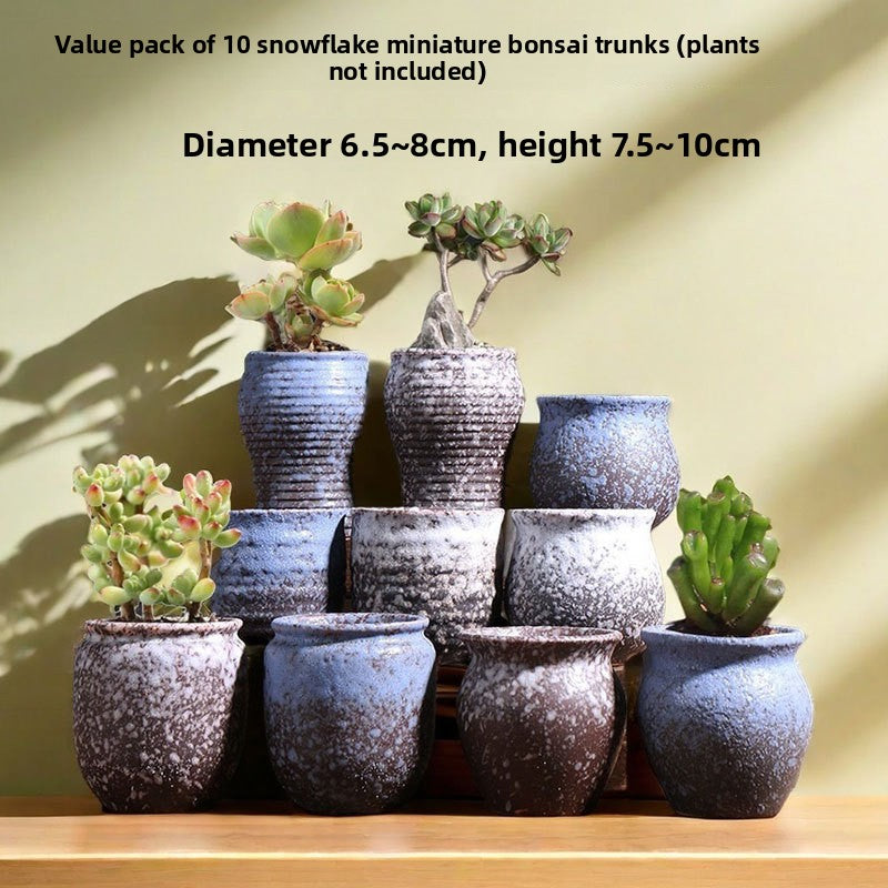 Ceramic Flower Pots for Succulents