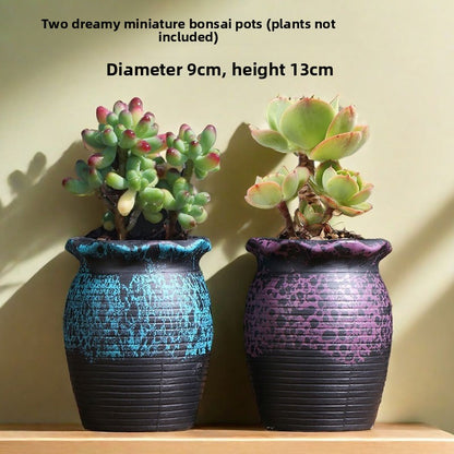 Ceramic Flower Pots for Succulents