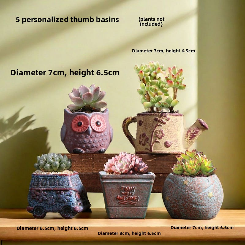 Ceramic Flower Pots for Succulents