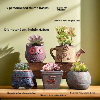 Ceramic Flower Pots for Succulents