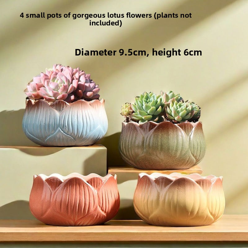 Ceramic Flower Pots for Succulents