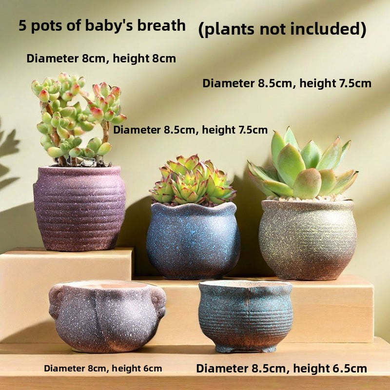 Ceramic Flower Pots for Succulents