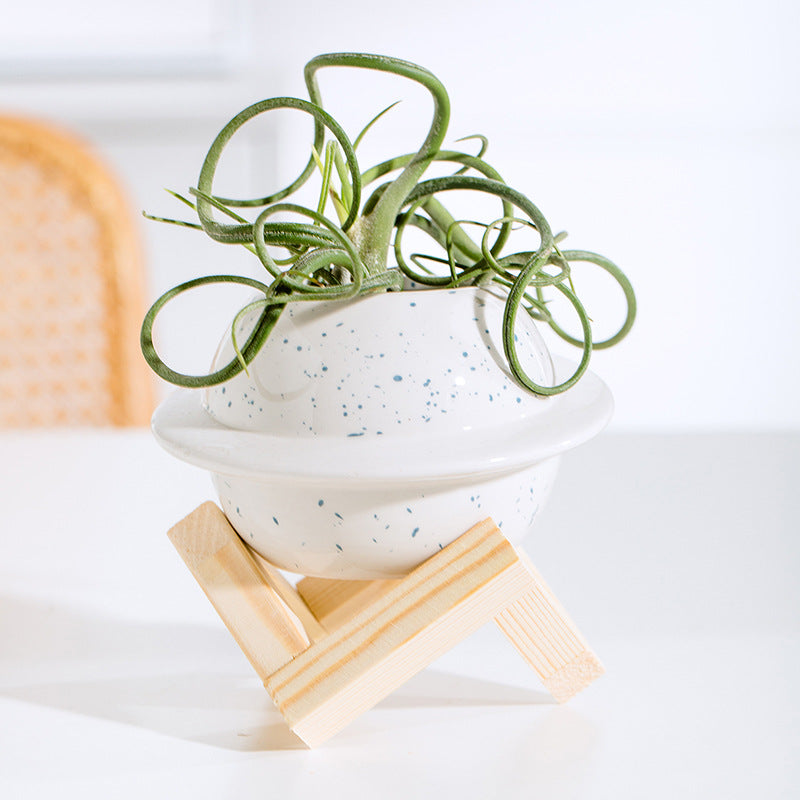 Ceramic Flowerpot
