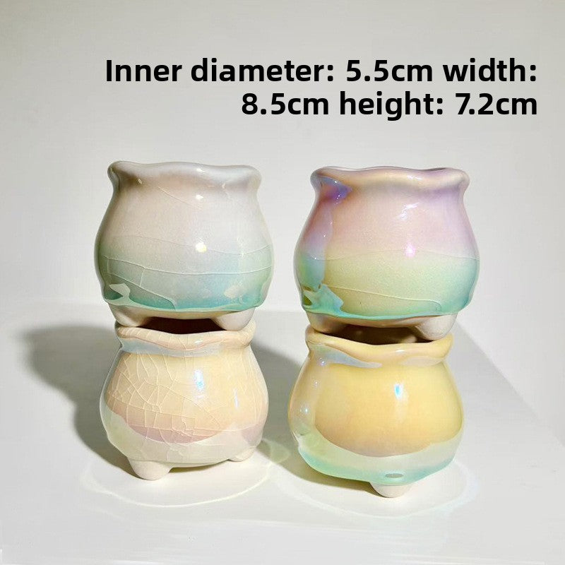 Ceramic Flowerpot