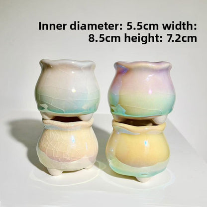 Ceramic Flowerpot