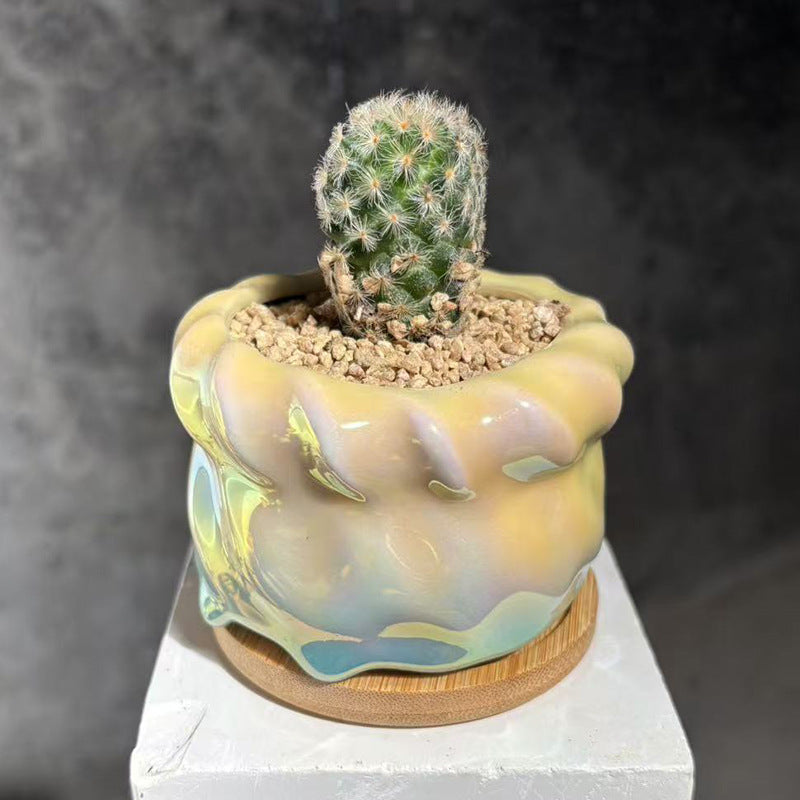 Ceramic Flowerpot