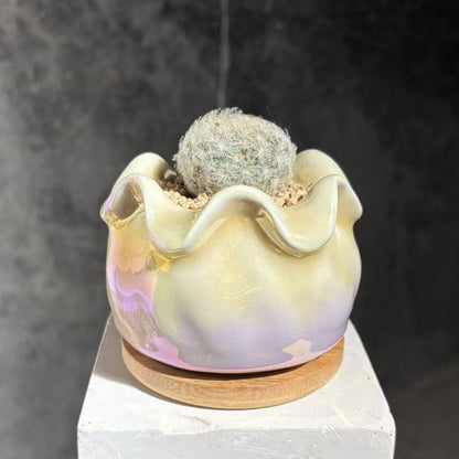 Ceramic Flowerpot