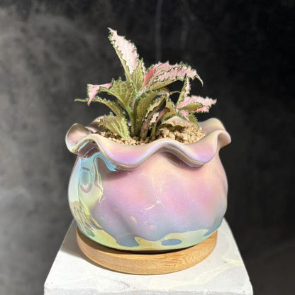 Ceramic Flowerpot
