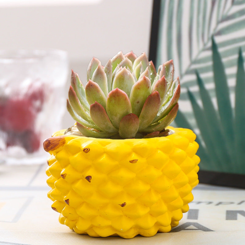 Ceramic Flowerpot
