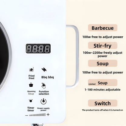 Ceramic Heater