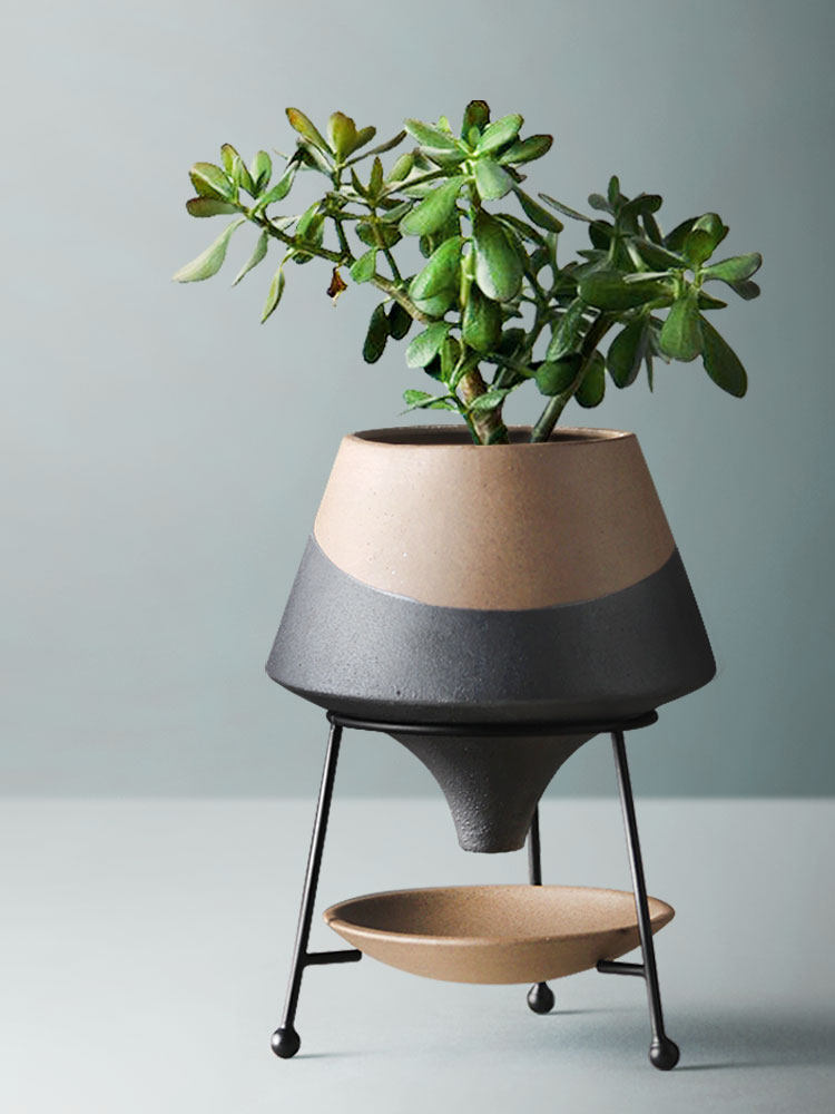 Ceramic Vases