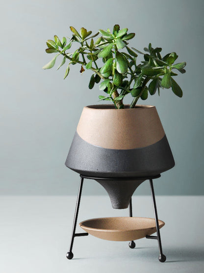 Ceramic Vases