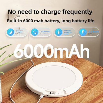 Charging induction ceiling lamp