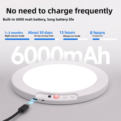 Charging induction ceiling lamp