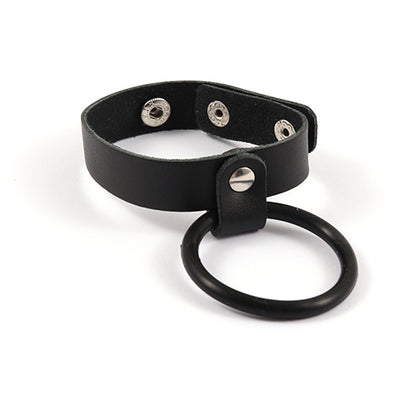 chastity belt