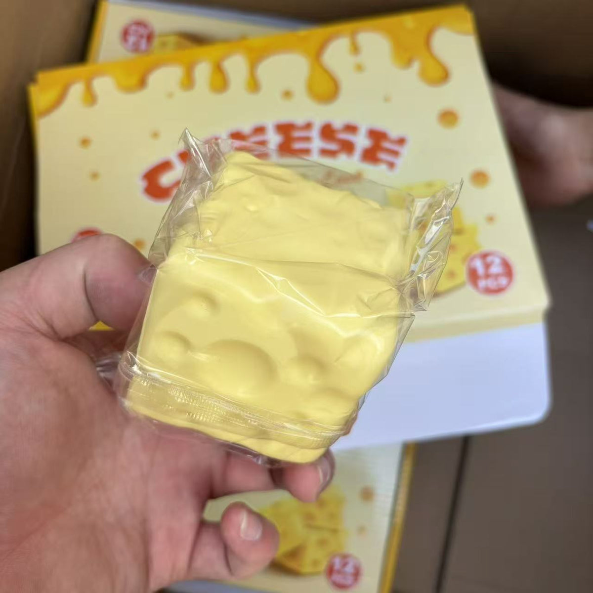 Cheese Squishy Toy