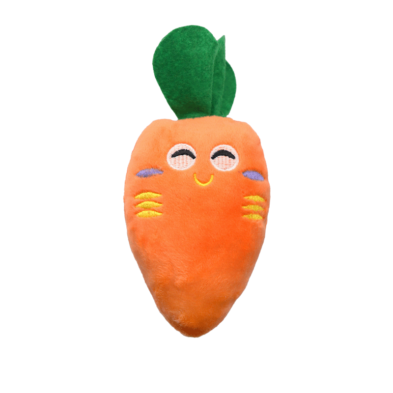 Chew Resistant Squeaky Plush Pet Toy