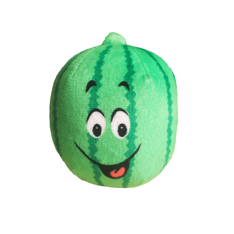 Chew Resistant Squeaky Plush Pet Toy