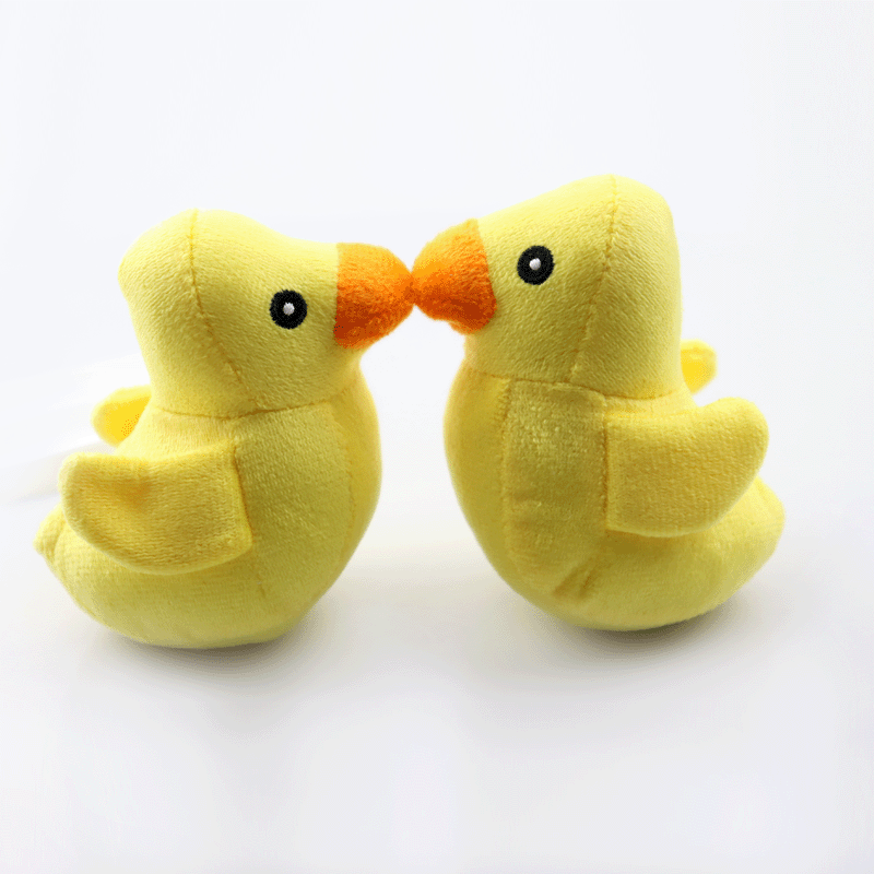 Chew Resistant Squeaky Plush Pet Toy