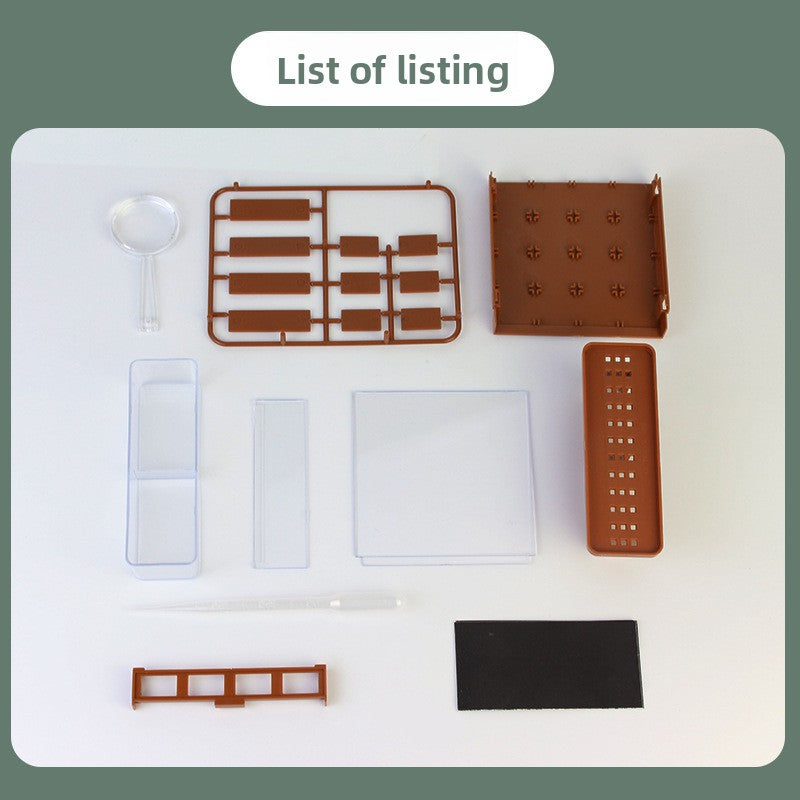 Children's Educational DIY Science Experiment Kit