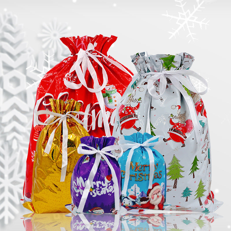 Christmas gift bag