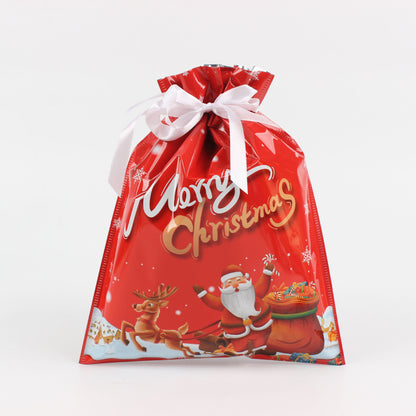 Christmas gift bag