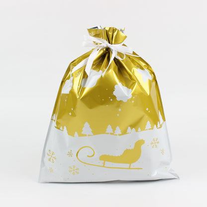 Christmas gift bag