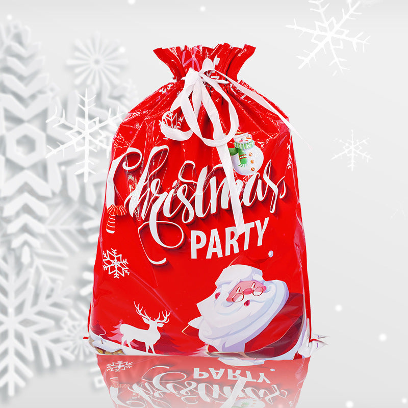 Christmas gift bag