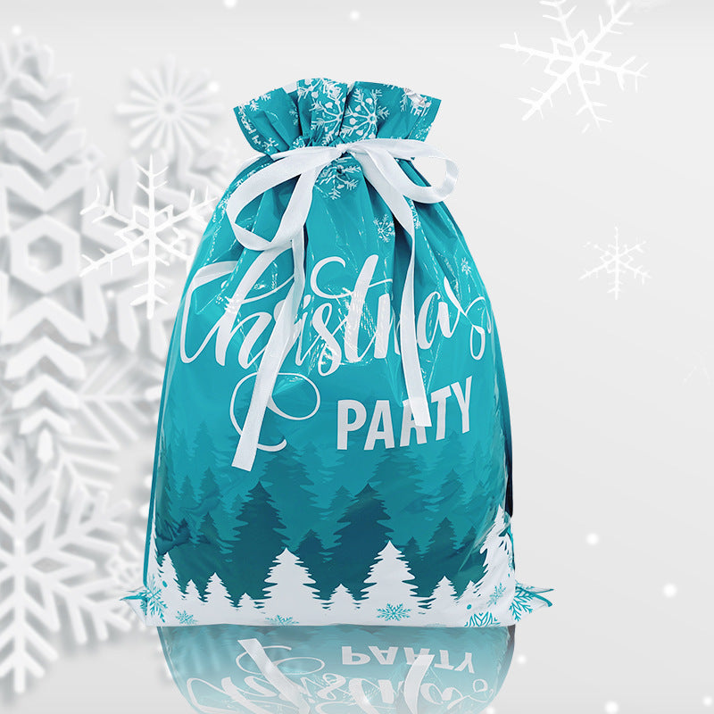 Christmas gift bag