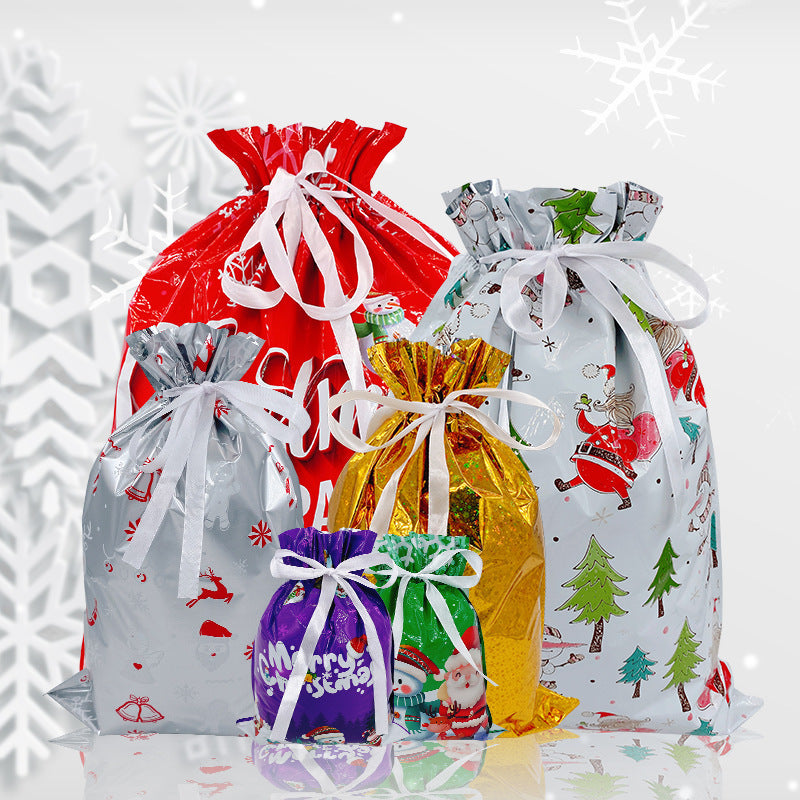 Christmas gift bag