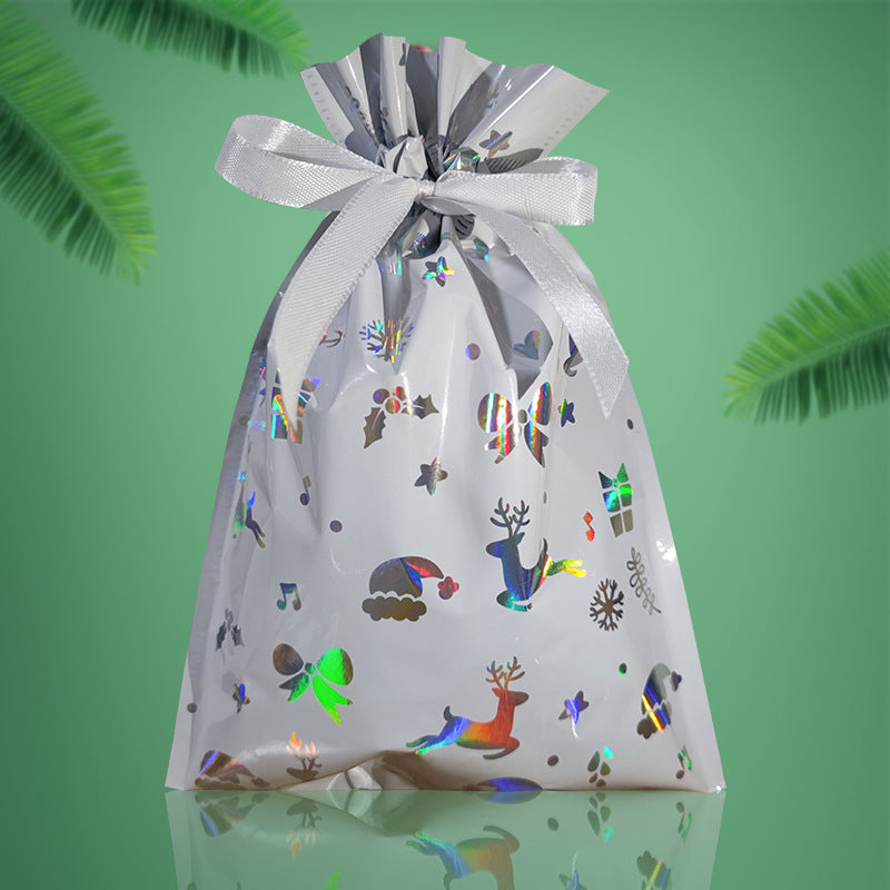 Christmas gift bag