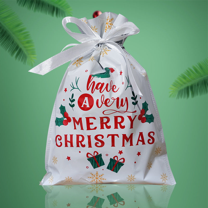 Christmas gift bag