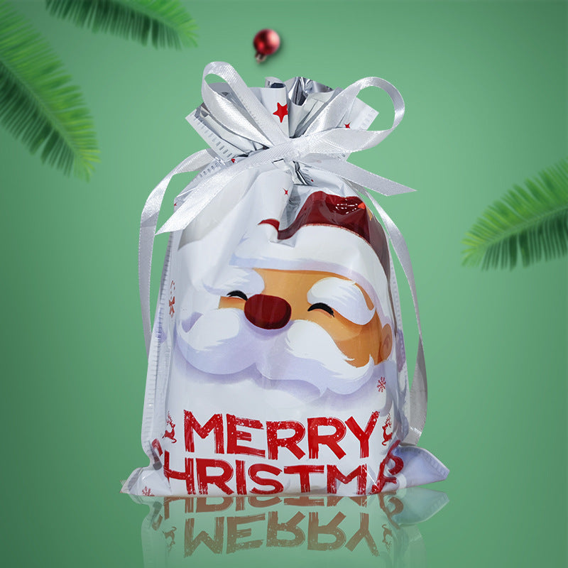 Christmas gift bag