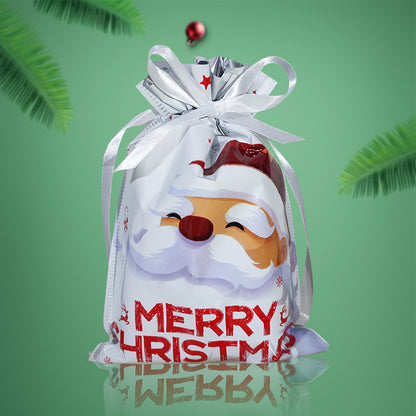 Christmas gift bag