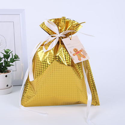 Christmas gift bag