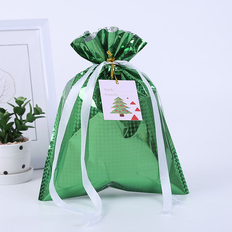 Christmas gift bag