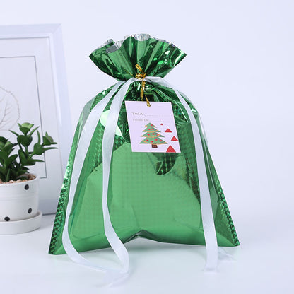 Christmas gift bag