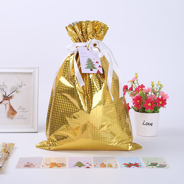 Christmas gift bag