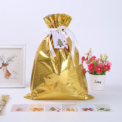 Christmas gift bag